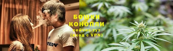 хмурый Михайловск