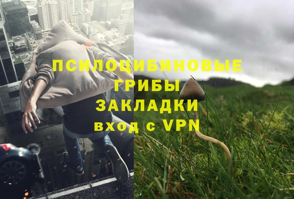 хмурый Михайловск