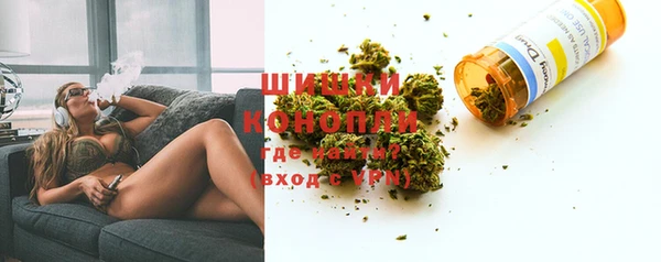 МДПВ Весьегонск