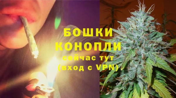 мяу мяу мука Михайлов