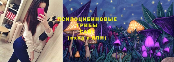 хмурый Михайловск