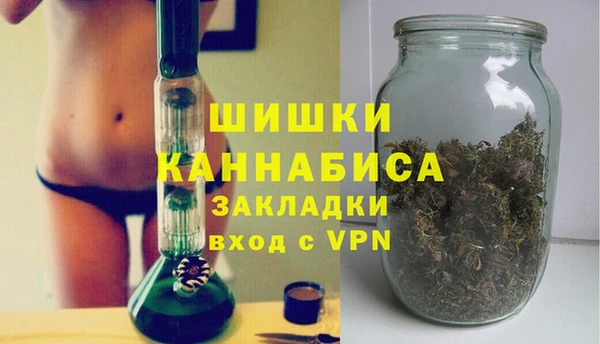 spice Дмитриев