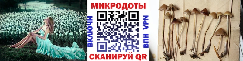 где продают наркотики  Нововоронеж  mega как зайти  Галлюциногенные грибы MAGIC MUSHROOMS 