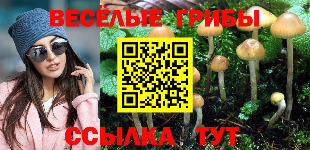 Галлюциногенные грибы Psilocybe  Вход с VPN  Нововоронеж 