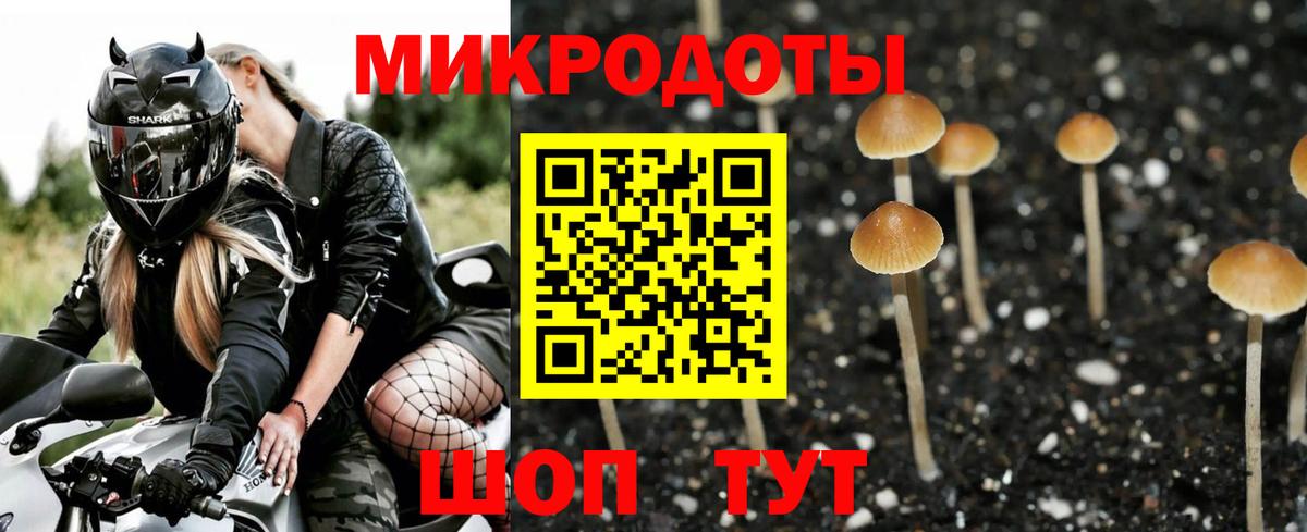 Псилоцибиновые грибы мицелий Нововоронеж